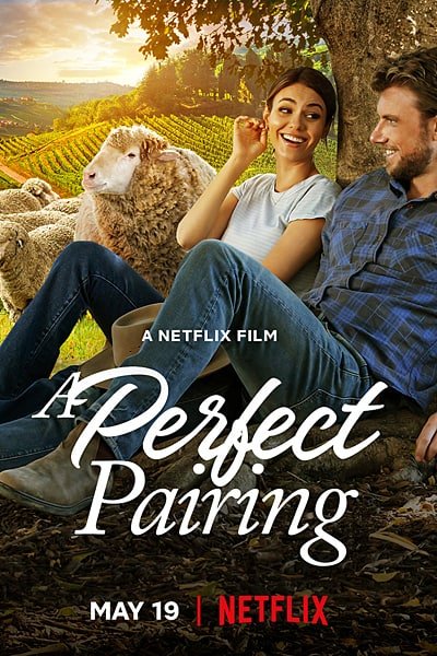 Download A Perfect Pairing (2022) Dual Audio (Hindi-English) 480p [350MB] || 720p [1GB] || 1080p [2.2GB]