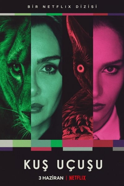 Download As the Crow Flies (Season 1) Dual Audio {Hindi-English} WEB-DL 480p [130MB] || 720p [450MB]