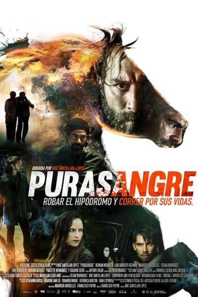 Download Purasangre (2016) Dual Audio {Hindi-Spanish} 480p [350MB] || 720p [1.2GB]