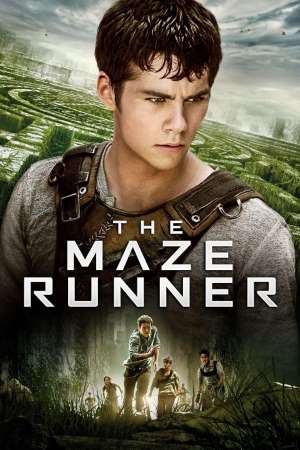 Download The Maze Runner (2014) Bluray {Hindi-English} 480p | 720p | 1080p