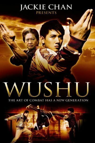 Download Jackie Chan Presents: Wushu (2008) Dual Audio {Hindi-Chinese} 480p [350MB] || 720p [1.1GB] || 1080p [2GB]