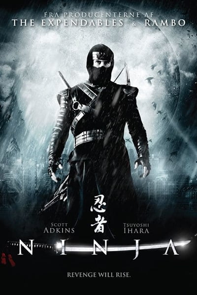 Download Ninja (2009) Dual Audio {Hindi-English} 480p [300MB] || 720p [850MB] || 1080p [1.8GB]