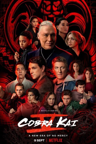 Download Cobra Kai (Season 1-6) WEB-DL Dual Audio {Hindi-English} 480p, 720p Esub WEB Series [Episodes 11-15 Added]