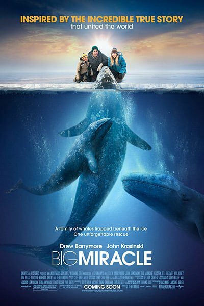 Download Big Miracle (2012) Dual Audio {Hindi-English} 480p [450MB] || 720p [1.2GB] || 1080p [2GB]