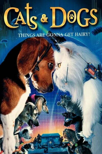 Download Cats & Dogs (2001) Dual Audio {Hindi-English} 480p [300MB] || 720p [950MB] || 1080p [1.5GB]