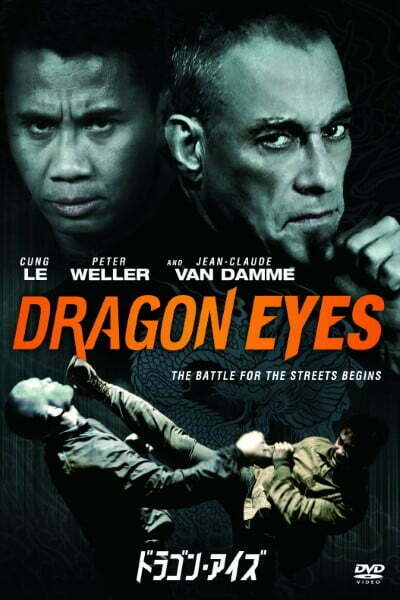 Download Dragon Eyes (2012) Dual Audio {Hindi-English} 480p [270MB] || 720p [965MB] || 1080p [1.57GB]