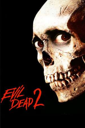 Download The Evil Dead II (1987) {Hindi-English-Tamil-Telugu} 480p [300MB] || 720p [900MB]