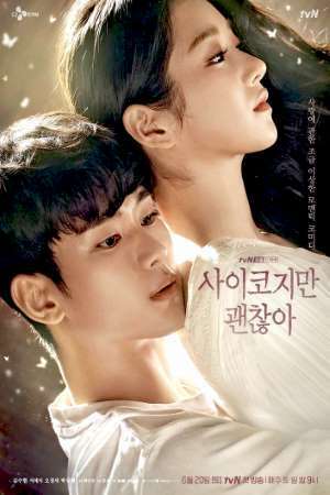 Download It’s Okay to Not Be Okay (Season 1) Korean Series {Hindi-Korean} Dual Audio 480p & 720p Web-DL