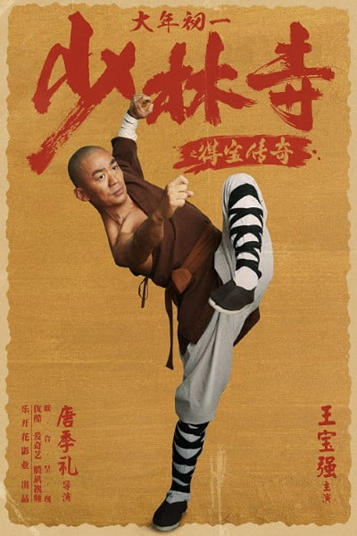 Download Rising Shaolin: The Protector (2021) Web-DL Dual Audio {Hindi-Chinese} 480p | 720p