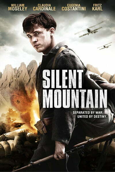 Download The Silent Mountain aka Der stille Berg (2014) Dual Audio (Hindi-English) Esubs Bluray 480p [300MB] || 720p [900MB] || 1080p [2.8GB]