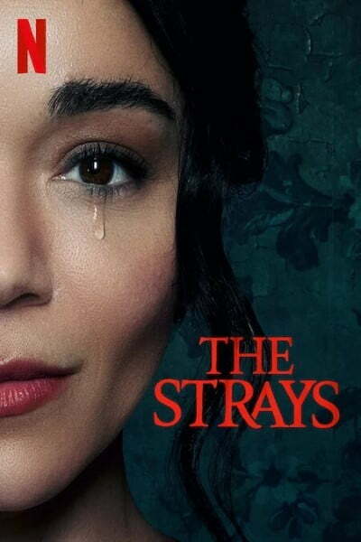 Download The Strays (2023) Dual Audio (Hindi-English) Msubs WEB-DL 480p [330MB] || 720p [900MB] || 1080p [2.1GB]