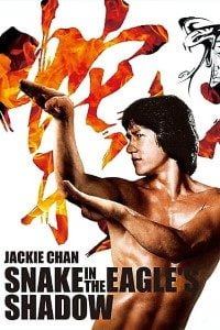 Download Snake in the Eagles Shadow (1978) Dual Audio (Hindi-Chinese) 480p [300MB] || 720p [1GB]