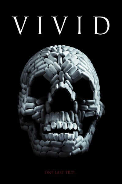 Download VIViD (2011) Dual Audio {Hindi-English} WEB-DL ESubs 480p [250MB] || 720p [700MB] || 1080p [1.6GB]