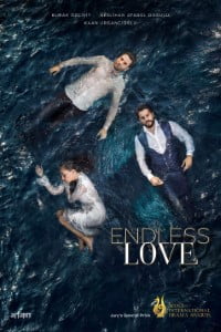 Download Endless Love: Kara Sevda (Season 1-2) {Hindi Dubbed} Turkish Series 720p WeB-HD [300MB]