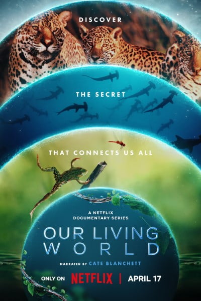 Download Our Living World (Season 1) WEB-DL {Hindi-English} 720p | 1080p ESub NetFlix Web Series Download Our Living World (Season 1) WEB-DL {Hindi-English} 720p | 1080p ESub NetFlix Web Series